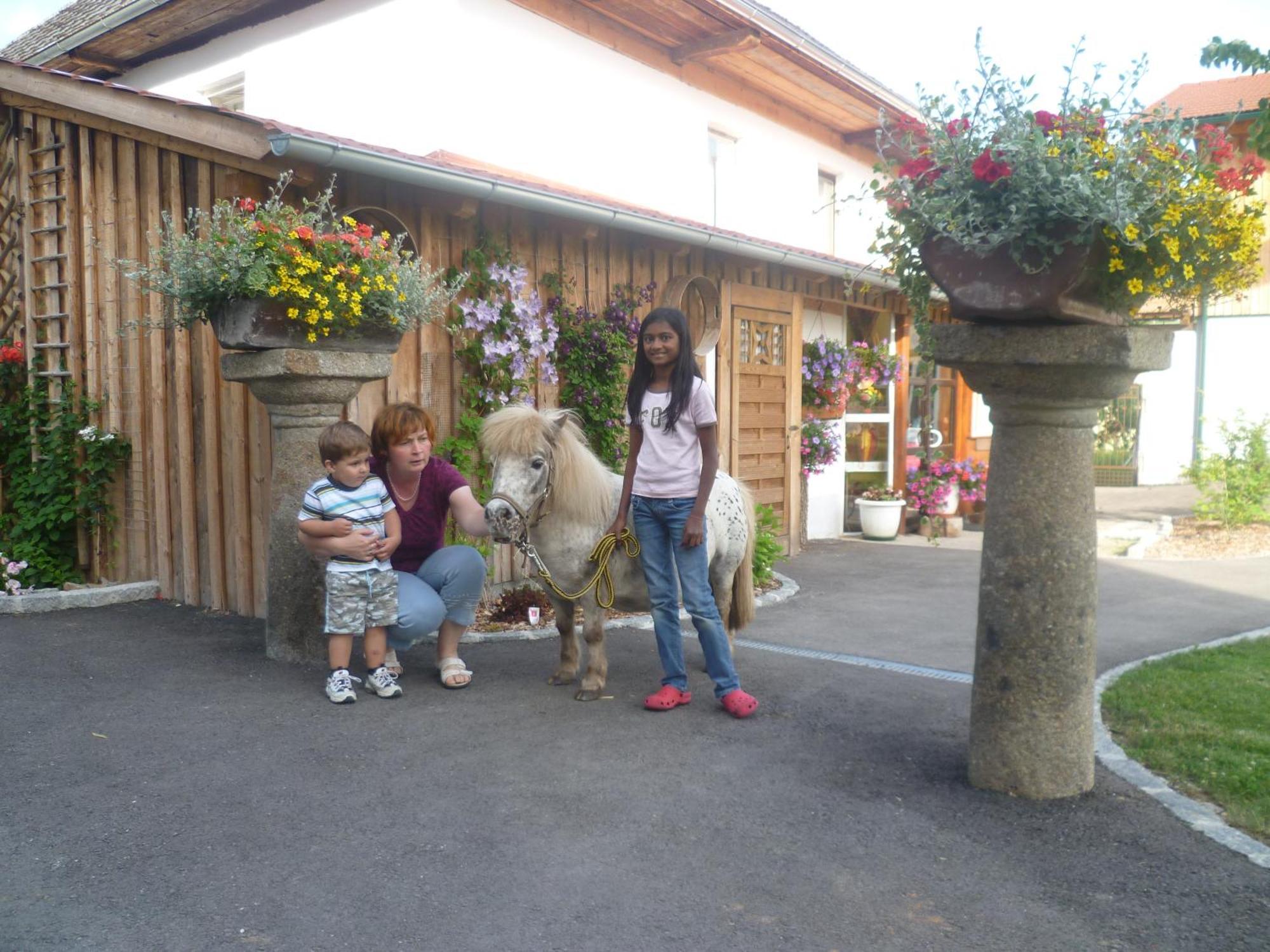 Obermayrgut Apartament Gallspach